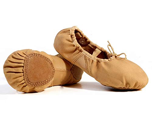Girl's Adult Stretch Mesh Soft Canvas Split Sole Ballet Dance Shoes