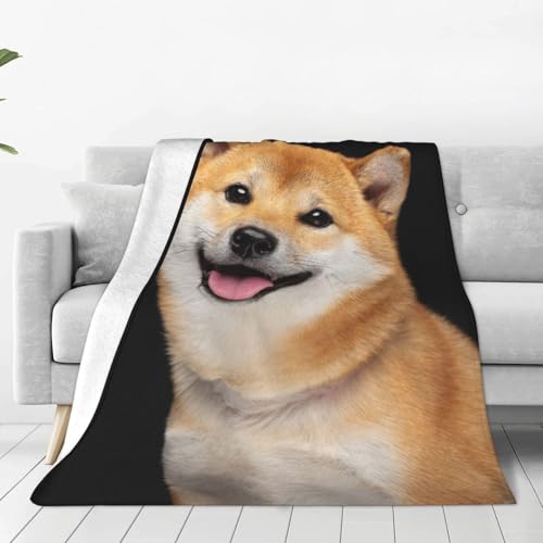 ѕz Č   VoCk(2) 킢  uPbg _炩G  GARuPbg ӂӂ Ђ|  tl Ódh~ 􂦂 lC Mtg lGKp 125cmx150cm