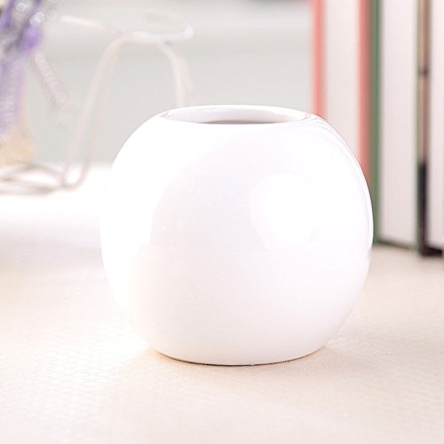 Guo's Cute Plants Vase Decorative Bud Vase Succulent Pots Storage Jars Various 7 Colors (One White)