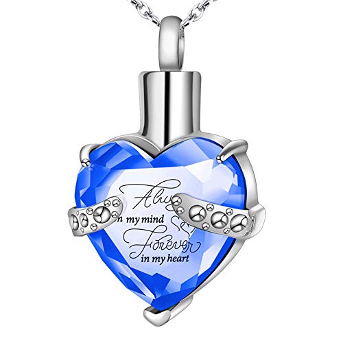 XIUDA Crystal Urn Necklace for Human Ashes Heart Birthstone Memorial Cremation Jewelry Ash Necklace for Women
