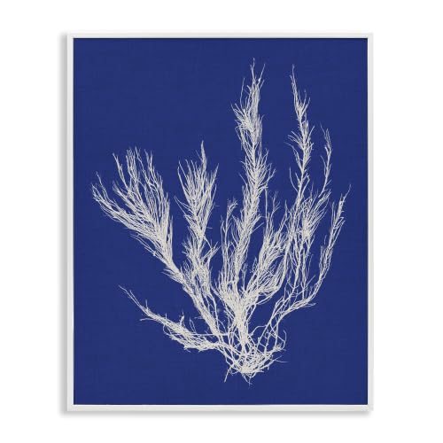Coral Seaweed Beach Nautical Design, 24 x 30 Inch Framed Giclée Print