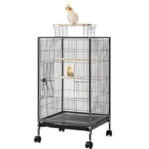 36-Inch Deluxe Sturdy Wrought Iron Bird Flight Open Play Top Cage with Rolling Stand for Parrots Conure Lovebird Cockatiel