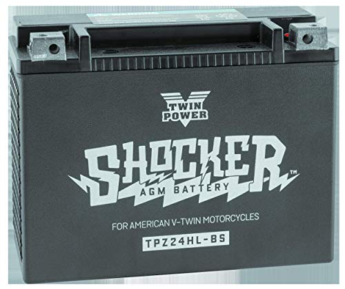 Twin Power Shocker Battery #TOP7