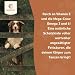 Wildfang® Lachsöl Hund 250 ml – Barf-Öl mit Omega 3 & 6 – Glänzendes Fell & gesunde Haut – Immunsystem stärken – Appetitanregend – Natürliches Ergänzungsfuttermittel