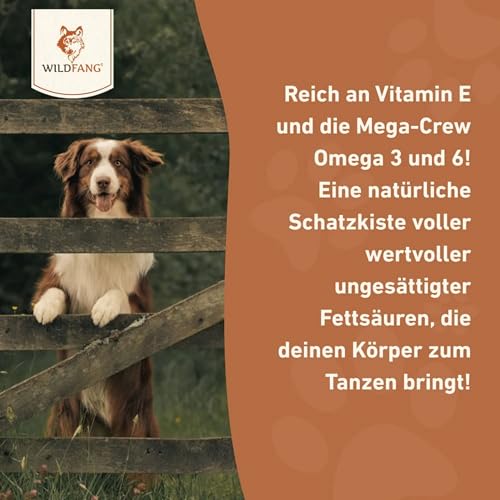 Wildfang® Lachsöl Hund 250 ml – Barf-Öl mit Omega 3 & 6 – Glänzendes Fell & gesunde Haut – Immunsystem stärken – Appetitanregend – Natürliches Ergänzungsfuttermittel