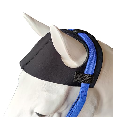 HUNTERS SADDLERY Comfort Poll Guard für Pferde – Entlastung des Kopfschüttels, Halfter Zaumzeug Druckreduzierung, stabiler Reise-Kopfschutz – Cob volle Größe
