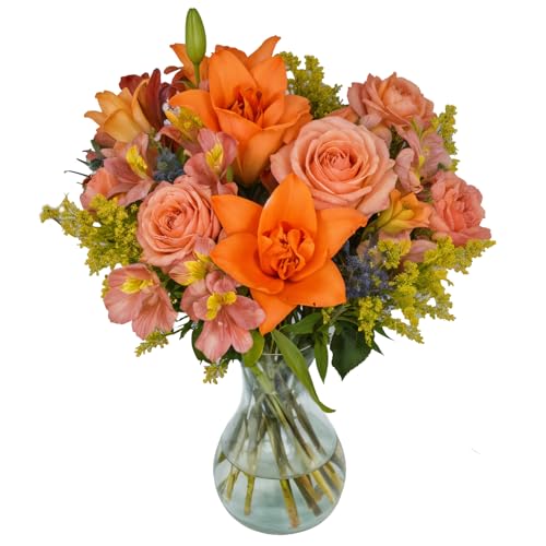 Pumpkin Spice | Fresh Fall Autumn Flowers Bouquet with Vase | Orange Fresh Flower Arrangement | Flowers for Delivery, Anniversary, Congratulations, Thanksgiving Pumpkin Spice | Fresh Fall Autumn Flowers Bouquet with Vase | Orange Fresh Flower Arrangement | Flowers for Delivery, Anniversary, Congratulations, Thanksgiving