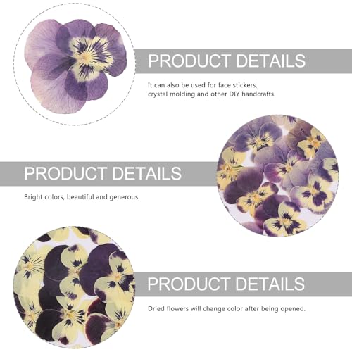 Flores secas prensadas naturales 36 pcs para manualidades miniatura 7