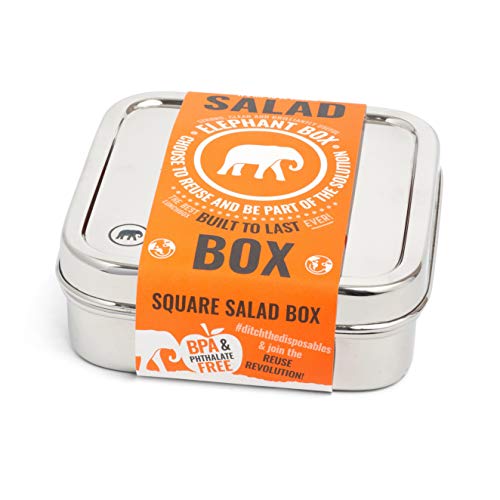 Elephant Box Square Salad Box | Stainless Steel Lunchbox, Salad Box, Food Storage, BPA Free Eco Friendly