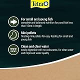 Tetra Pond Pellets Mini pokarm główny dla małych ryb stawowych, pływające granulki paszowe do codziennego karmienia, pudełko 1 l