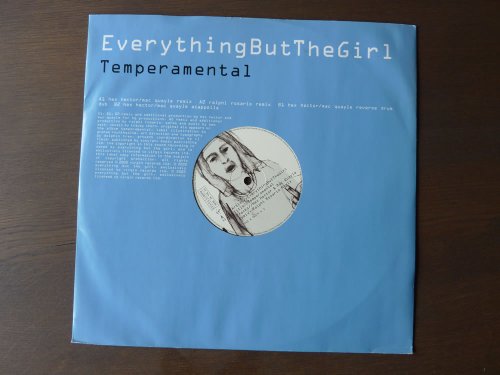 Temperamental [12" VINYL]