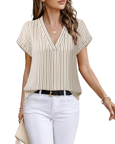 Timeson Chiffon V-Neck Office Shirt