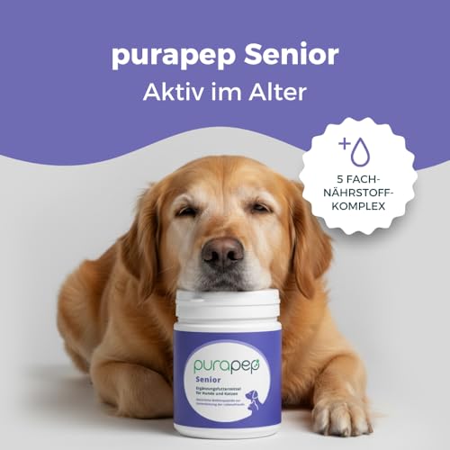 purapep Senior Power – 5-Fach Nährstoffkomplex mit Molkenprotein, Omega-3, Taurin & Vitaminen für Hunde & Katzen Senioren – Muskelaufbau & Fitness-Booster im Alter – Pulver | 280g