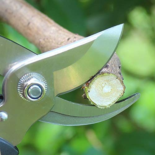 Cesoie per potatura a cricchetto per Alberi, cesoie per innesto, cesoie da Giardino, Utensili per Bonsai, cesoie manuali Professionali, Forbici Antiscivolo