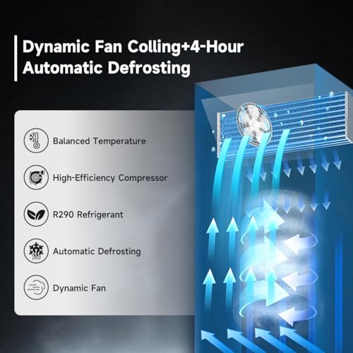 DeepTide 20 Cu.Ft Single Door Commercial Flower Refrigerator——Display Refrigerator with 3 Triple Glass,ETL Certified, 32℉ ~ 44℉, LED Lighting, Floral Cooler for Cafes, Restaurants, Stores - Image 3