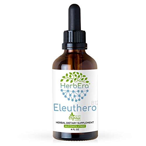 Eleuthero B120 Alcohol-Free Herbal Extract Tincture, Concentrated Liquid Drops Natural (Eleutherococcus Senticosus, Siberian Ginseng) 4 fl oz
