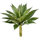 Parfait pour une présentation sur table : la taille compacte et les détails exquis de cette plante artificielle en font un décoratif idéal pour les bureaux, les étagères, les tables d'appoint et autres petits espaces.