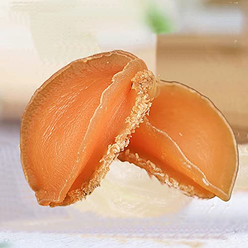 Dried Abalone Whole,Dried Abalone;Dried Abalone Japanese;Dry Abalone;Dried Abalone Dried Seafood;Bao Yu Dried Seafood;Dried Abalone Slices (32 Oz) #TOP3