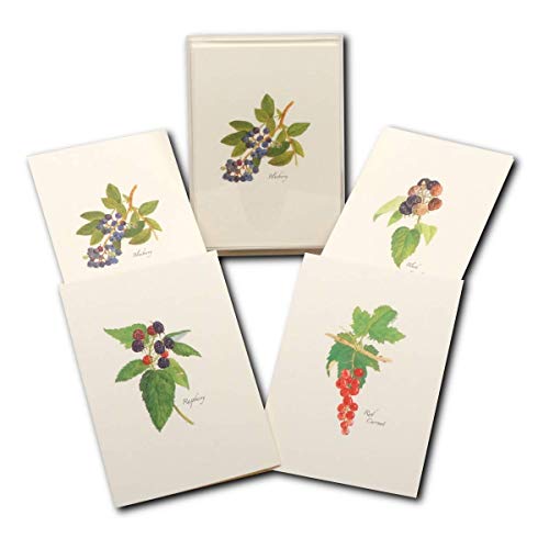 Image of Earth Sky + Water - Berry Assortment Notecard Set - 8 Blank Cards with Envelopes (2 each of 4 styles)
