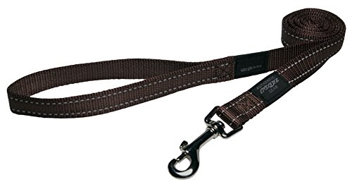 Reflective Dog Leash for Extra Large Dogs, 1