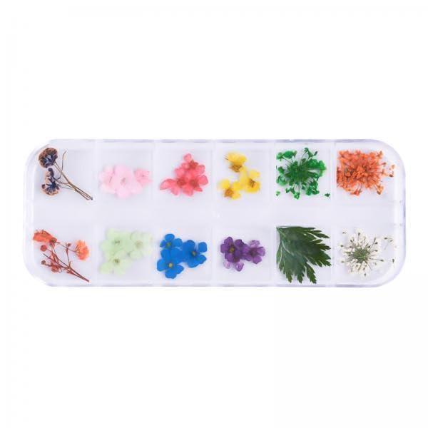 Bnf® 2x12 Color Dried Flower for UV Gel Acrylic Nail Art Decor Five leaves flower Health & Beauty Nail Care Manicure & Pedicure Nail Art Accessories-picture-30