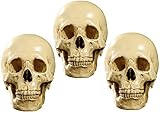 Human Skull Replica Modell Anatomisches Skelett Halloween Dekor Schädel Aus Medizinischem Harz Kunsthandwerk Ornamente(3Pack)