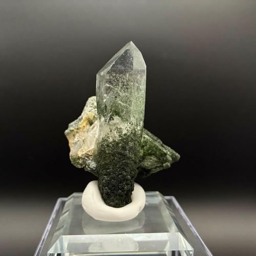 �p�L�X�^���Y �O���[���t�@���g�� �q�}�������� �[�R�̌i�F���h���P�����|�C���g