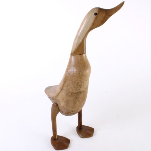 Sideways Looking Duck by Magical Gift Store