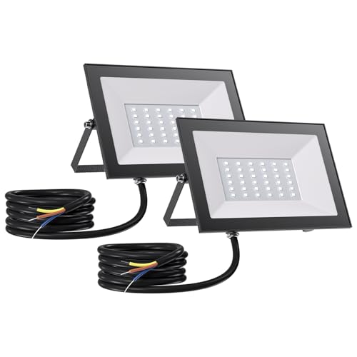 Allin LED Strahler Außen 30W 6500K 3000LM Superhell LED Strahler IP65 Wasserdicht Scheinwerfer Flutlicht für Garten Innenhöfe Garage 2 Stück