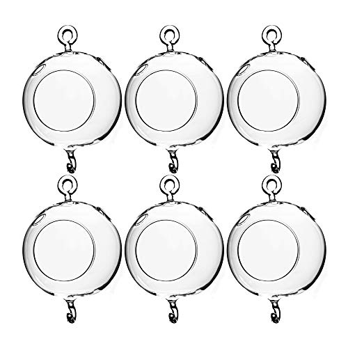 WGV Hanging Terrarium Globe, Width 4", Height 6", Double Hook,