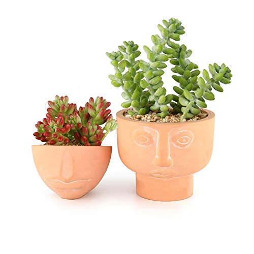 T4U 10CM Maceta de Cemento para Plantas Suculentas, Diseño de la Cara Conjunto de 2, Maceta Pequeña para Cacuts Bonsai, Decorativos Interior Maceteros Barro Hogar Oficina Mesa Ventana(Cara y Boca)