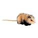 Woodland Opossum Stuffed Animal