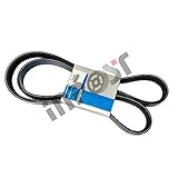 Numéro de pièce : 78-1669 Courroie d\'entraînement Courroie Plate compatible avec Thermo King T-1000 T-1200 T-1080R T-Series 78-1669