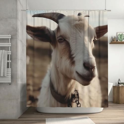 Rideau de douche imperméable de qualité supérieure avec 12 anneaux - 2