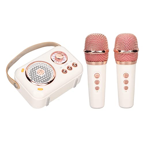 Máquina de karaokê Bluetooth, sistema PA de 6 modos, alto-falante de canto portátil com 2 microfones