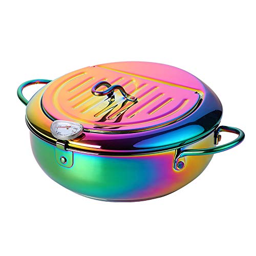 Stainless Steel Fryer Pan with Oil Draining Lid and Hollow Anti-Scalding Handle, Visual Oil Temperature Gauge, BUY&USE Multifunctional Rainbow Deep Fryer Pot, Combines Oil-saving, Splash-proof, Scald-proof, Oil-filtering Functions, 9.8 Inches/3.4L