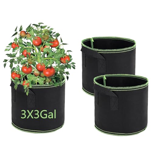 FELINAT Juego de 3 macetas de tela de 11 l, saco de plantas con asa, macetas de tela transpirable para jardín, balcón, terraza, macetero para verduras, flores, hierbas