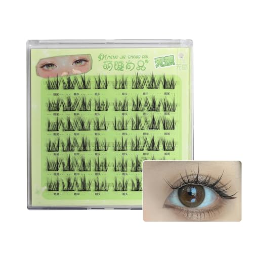 ܂ ̂sv O[sv 48 p܂ ڒܕsv 1b}cGN 3D܂ ܂ y K JԂg (^C[h,ubN)