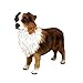 Australian Shepherd, Brown, Docked Original Dog Figurine (4in-5in)