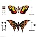 Super7 ULTIMATES! Toho Mothra (1992) - 7