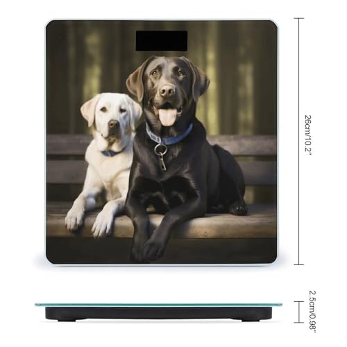 Báscula digital para baño Labrador con pantalla LCD miniatura 2