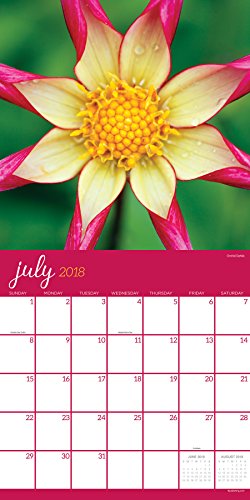 2018 Flowers Wall Calendar #TOP5