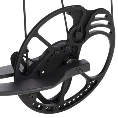 Bear Species Compound Bow Review Sportsman's Bargains
