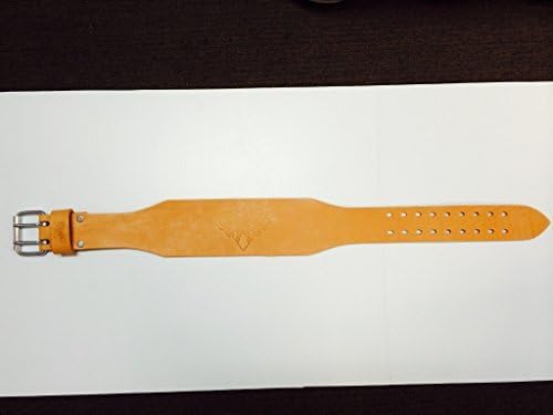 Weight Lifting Belt by Cardillo