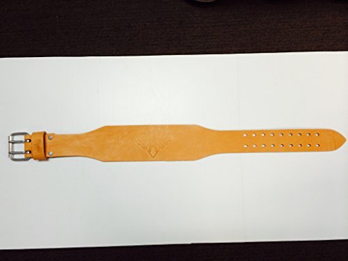 Weight Lifting Belt by Cardillo