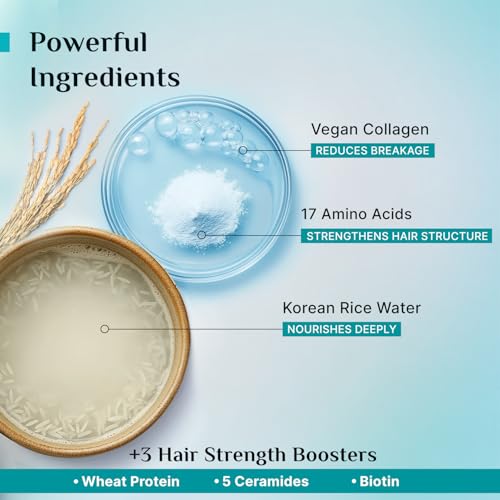 Image of Pilgrim Korean Rice Water & Collagen Advanced Damage Repair Shampoo - 200ml | with 17 Amino Acids, Wheat Protein & 5 Ceramides | Paraben-Free | For Dry & Damaged Hair | For Women and Men