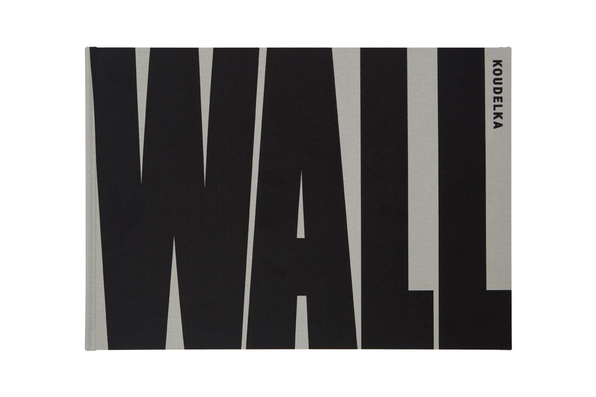 Wall panneau acoustique mural pour isoler le bruit du voisinage