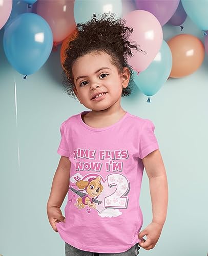 Tstars Time Flies 2nd Birthday Girl Shirt 2 Years Old Skye Paw Patrol Toddler Girls Fitted T-Shirt 4T Pink2