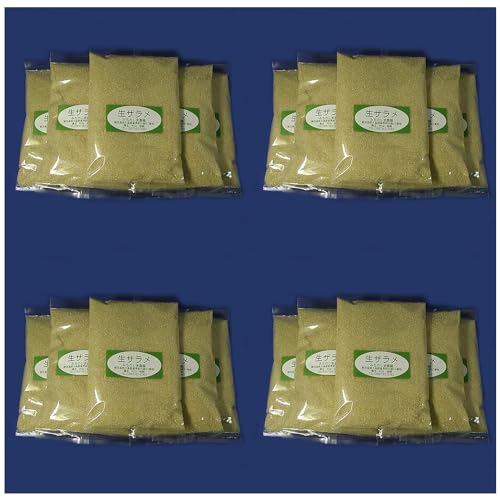 ̓_uev U 2025NxY 500g 20 uE 甭v(Ƃѓ э Lr ѓ Lr)