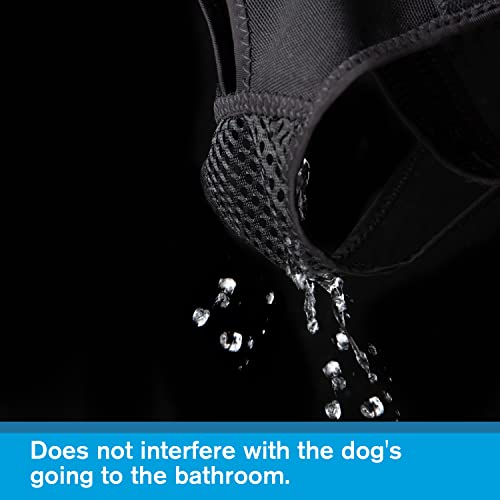 Image of Reusable Female Dog Pants to Prevent Cross-Tailing, Washable Underwear for Dogs in Heat (L, Black)